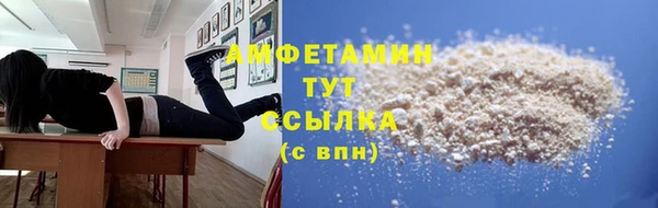 молекула духа Арсеньев