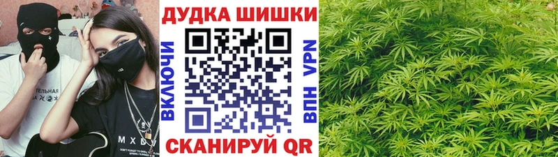 Купить  Сосенский  МАРИХУАНА семена 